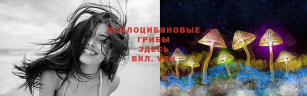 ALPHA PVP Краснотурьинск