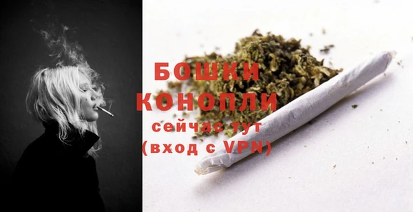 apvp Козельск