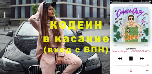 трава Корсаков