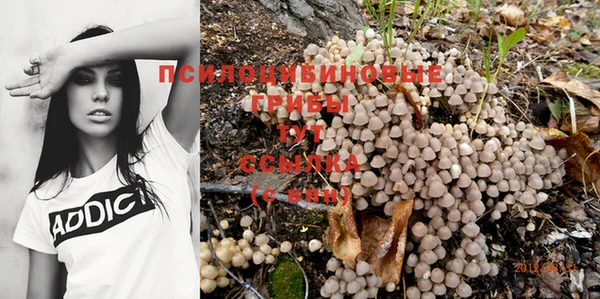 а пвп мука Краснослободск