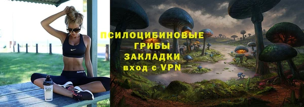 PSILOCYBIN Анива