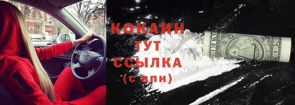 apvp Козельск