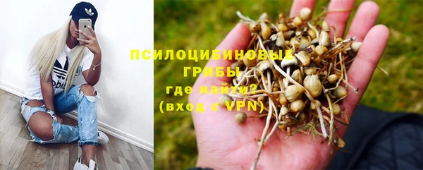 шишки Красноперекопск